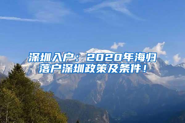 深圳入户：2020年海归落户深圳政策及条件！