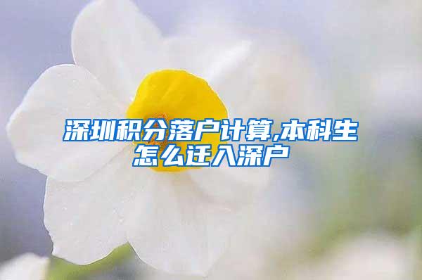 深圳积分落户计算,本科生怎么迁入深户