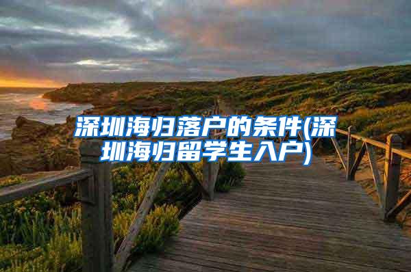 深圳海归落户的条件(深圳海归留学生入户)