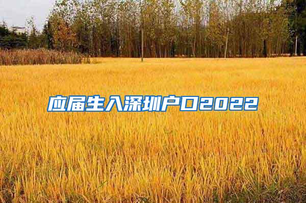 应届生入深圳户口2022