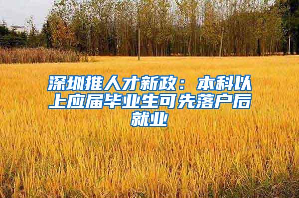 深圳推人才新政：本科以上应届毕业生可先落户后就业