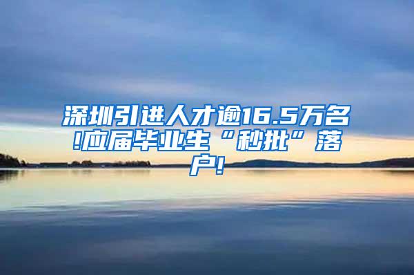 深圳引进人才逾16.5万名!应届毕业生“秒批”落户!