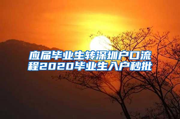 应届毕业生转深圳户口流程2020毕业生入户秒批