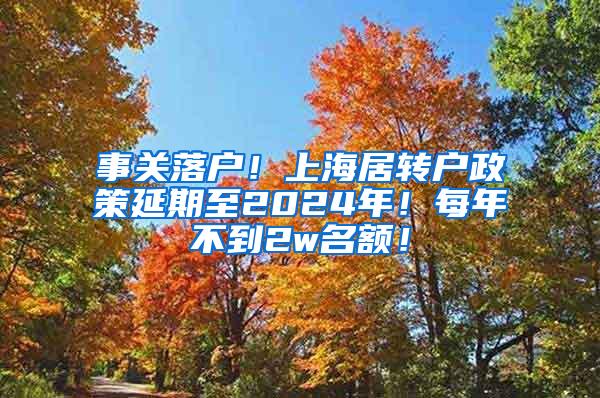 事关落户！上海居转户政策延期至2024年！每年不到2w名额！