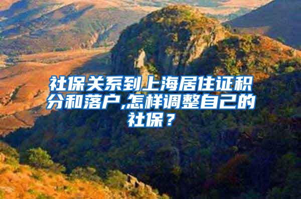 社保关系到上海居住证积分和落户,怎样调整自己的社保？