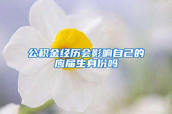 公积金经历会影响自己的应届生身份吗