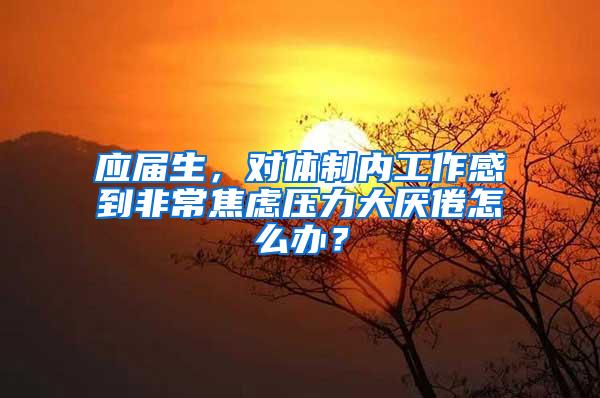 应届生，对体制内工作感到非常焦虑压力大厌倦怎么办？