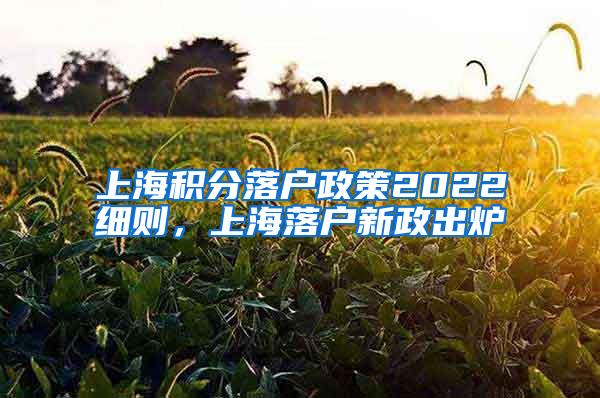 上海积分落户政策2022细则，上海落户新政出炉