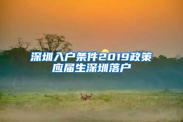 深圳入户条件2019政策应届生深圳落户