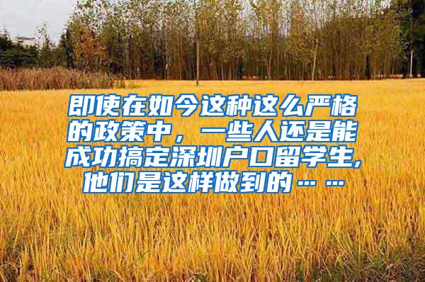 即使在如今这种这么严格的政策中，一些人还是能成功搞定深圳户口留学生,他们是这样做到的……