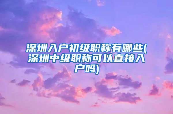 深圳入户初级职称有哪些(深圳中级职称可以直接入户吗)