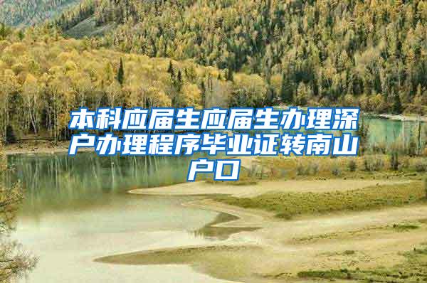 本科应届生应届生办理深户办理程序毕业证转南山户口