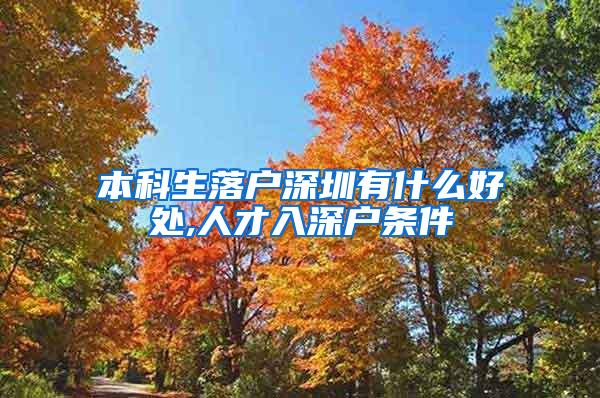 本科生落户深圳有什么好处,人才入深户条件