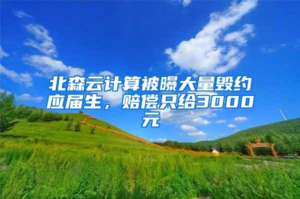 北森云计算被曝大量毁约应届生，赔偿只给3000元