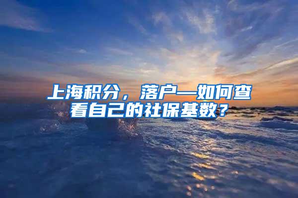 上海积分，落户—如何查看自己的社保基数？