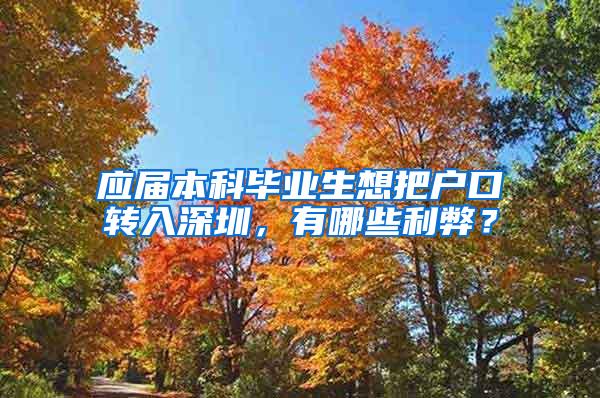 应届本科毕业生想把户口转入深圳，有哪些利弊？