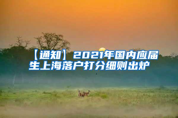 【通知】2021年国内应届生上海落户打分细则出炉