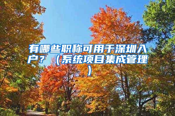 有哪些职称可用于深圳入户？（系统项目集成管理）