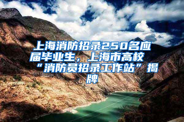 上海消防招录250名应届毕业生，上海市高校“消防员招录工作站”揭牌