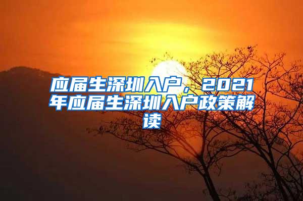 应届生深圳入户，2021年应届生深圳入户政策解读