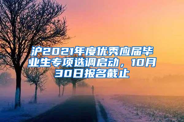 沪2021年度优秀应届毕业生专项选调启动，10月30日报名截止