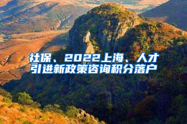 社保、2022上海、人才引进新政策咨询积分落户