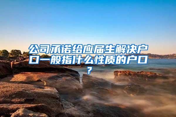 公司承诺给应届生解决户口一般指什么性质的户口？