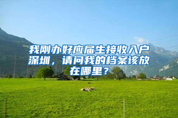 我刚办好应届生接收入户深圳，请问我的档案该放在哪里？