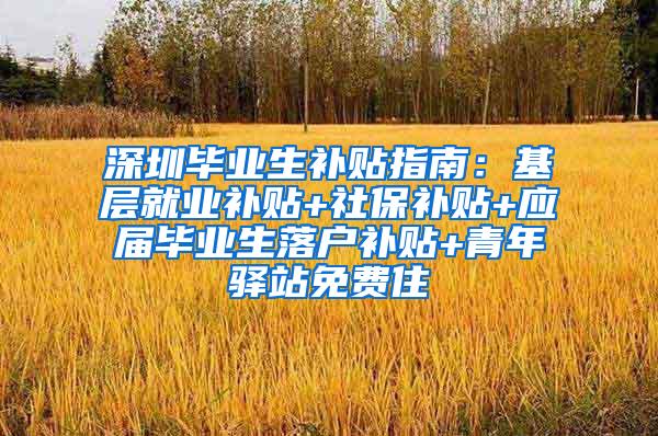 深圳毕业生补贴指南：基层就业补贴+社保补贴+应届毕业生落户补贴+青年驿站免费住