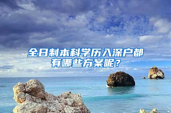 全日制本科学历入深户都有哪些方案呢？