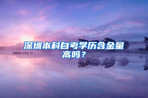 深圳本科自考学历含金量高吗？