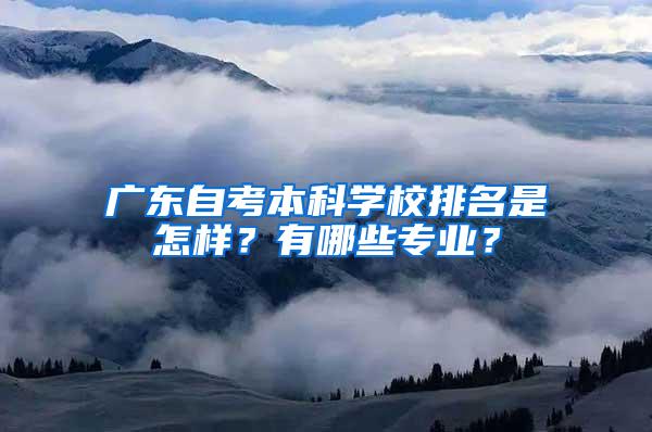 广东自考本科学校排名是怎样？有哪些专业？