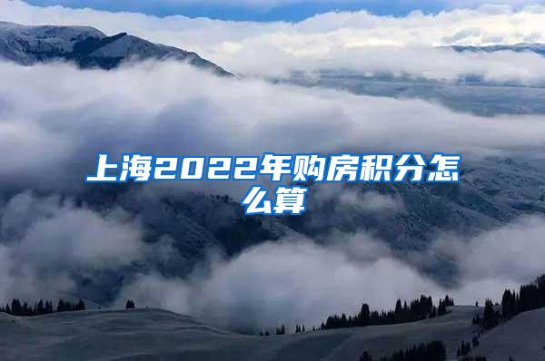 上海2022年购房积分怎么算