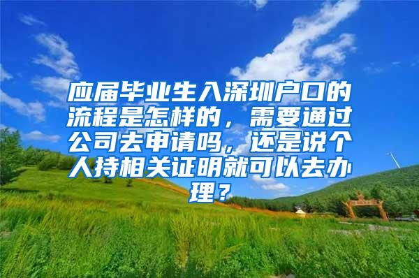 应届毕业生入深圳户口的流程是怎样的，需要通过公司去申请吗，还是说个人持相关证明就可以去办理？