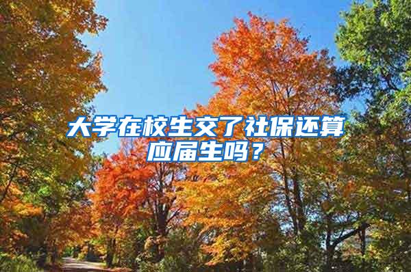 大学在校生交了社保还算应届生吗？