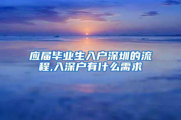 应届毕业生入户深圳的流程,入深户有什么需求