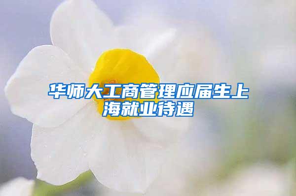 华师大工商管理应届生上海就业待遇