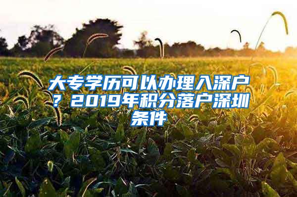 大专学历可以办理入深户？2019年积分落户深圳条件