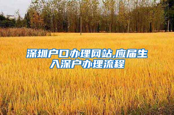 深圳户口办理网站,应届生入深户办理流程