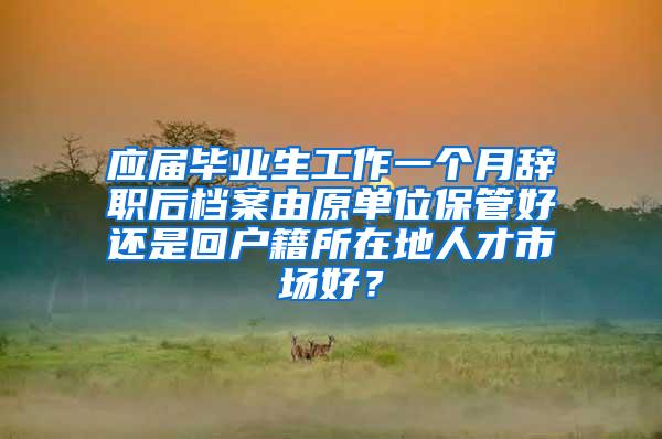 应届毕业生工作一个月辞职后档案由原单位保管好还是回户籍所在地人才市场好？