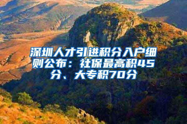 深圳人才引进积分入户细则公布：社保最高积45分、大专积70分