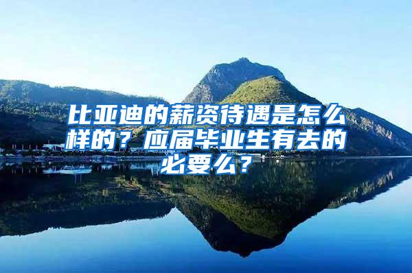 比亚迪的薪资待遇是怎么样的？应届毕业生有去的必要么？