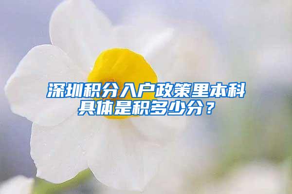 深圳积分入户政策里本科具体是积多少分？