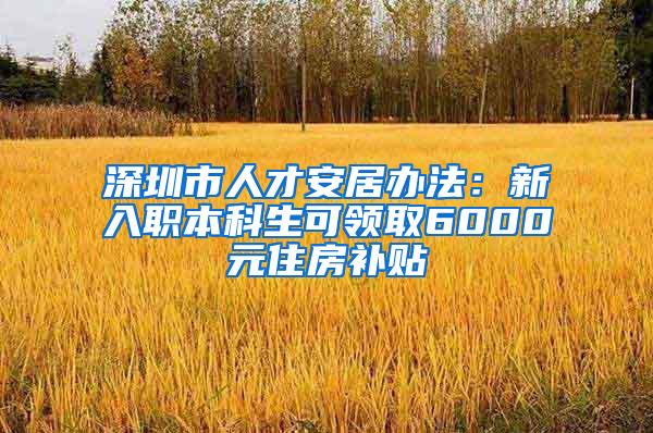 深圳市人才安居办法：新入职本科生可领取6000元住房补贴