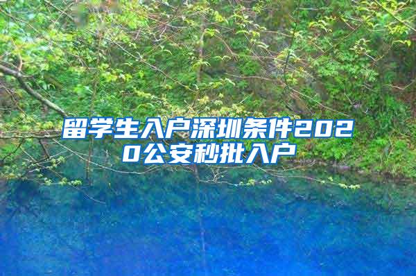 留学生入户深圳条件2020公安秒批入户