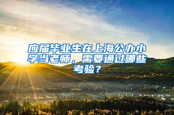 应届毕业生在上海公办小学当老师，需要通过哪些考验？