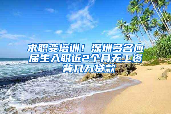 求职变培训！深圳多名应届生入职近2个月无工资 背几万贷款