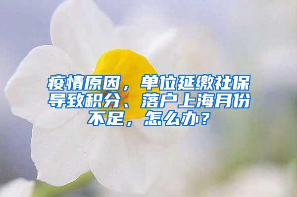 疫情原因，单位延缴社保导致积分、落户上海月份不足，怎么办？