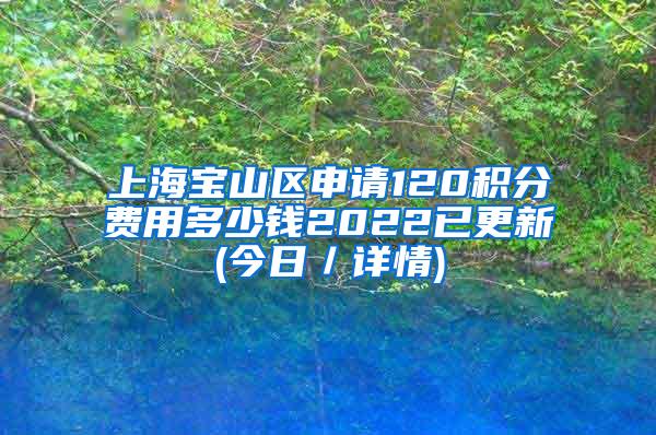 上海宝山区申请120积分费用多少钱2022已更新(今日／详情)