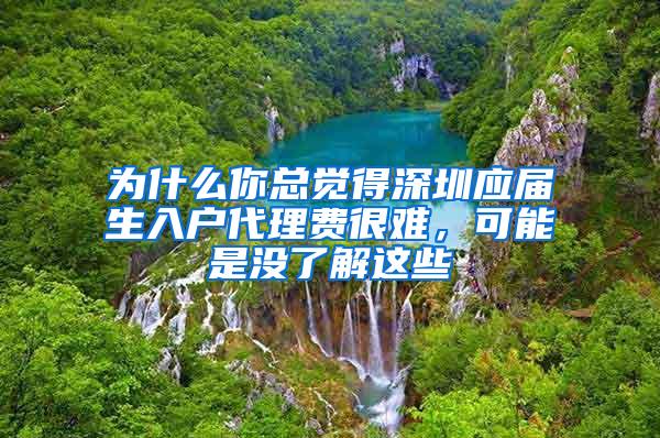 为什么你总觉得深圳应届生入户代理费很难，可能是没了解这些